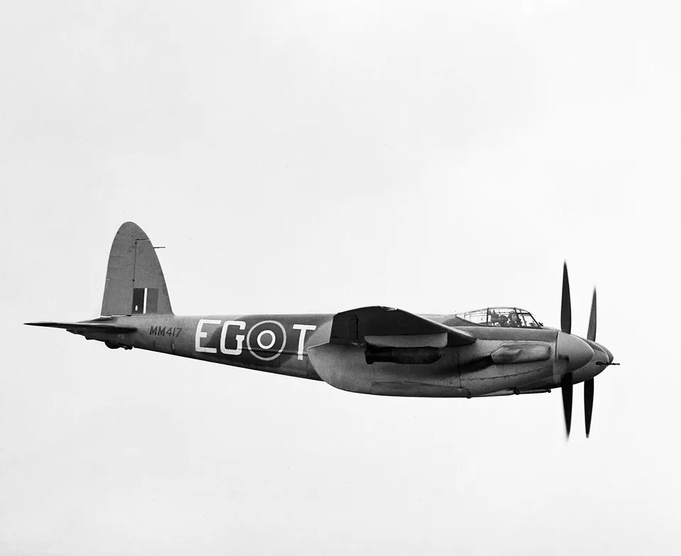 Mosquito